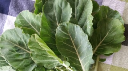 collard greens 2