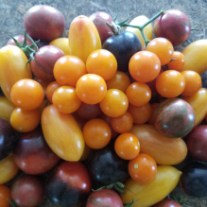 tomatoes.cherry-mix